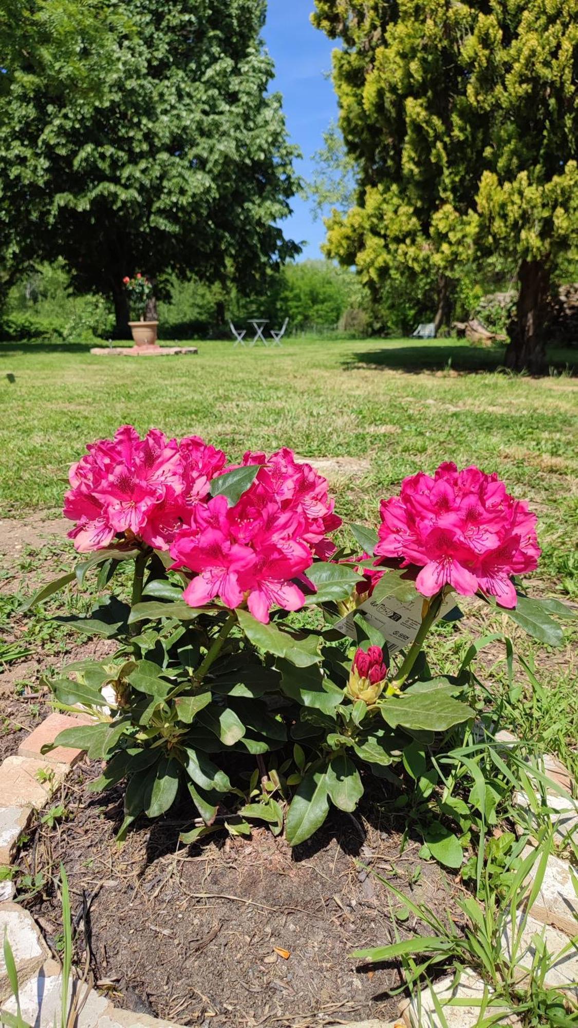 La Rose Paisible Hotel Brusson Luaran gambar